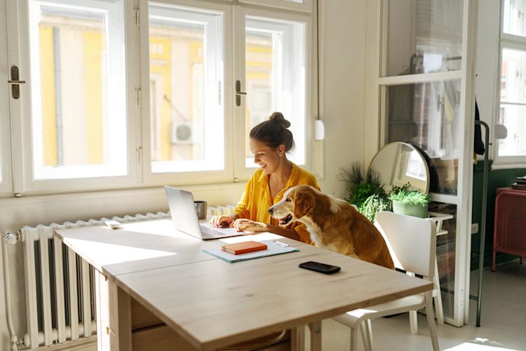 Stromverbrauch im Homeoffice ist gleich mehr Kosten? Eine junge Frau arbeitet zu Hause am Laptop mit ihrem Hund