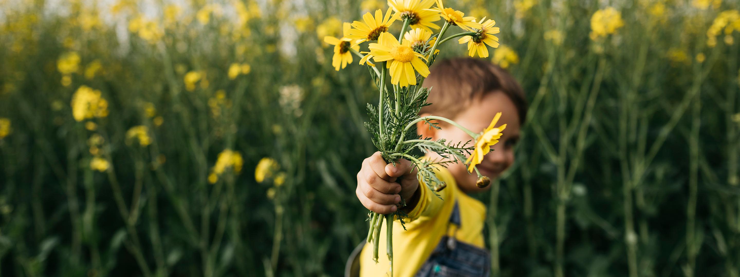 Was ist in Ökostrom drin? Energie für dein zuhause Ein kleiner Junge steht vor einem Feld mit gelben Wildblumen und hält einen Strauß der Blumen in die Kamera.